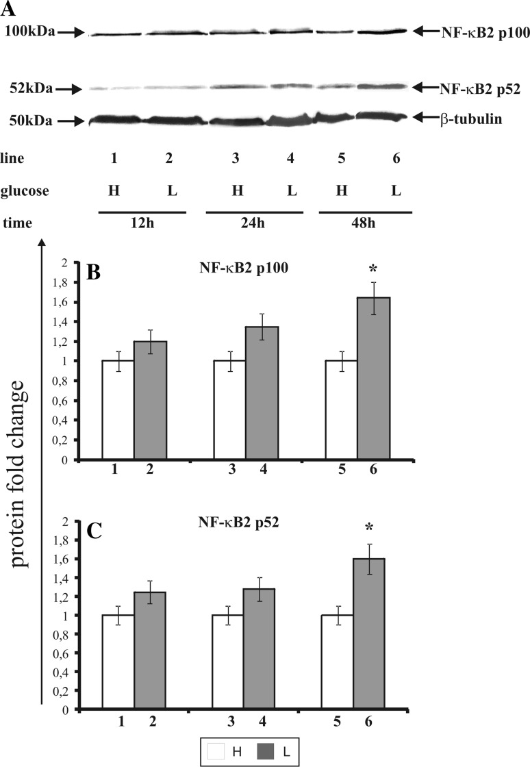 Fig. 6