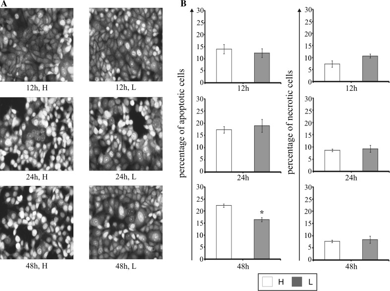 Fig. 4