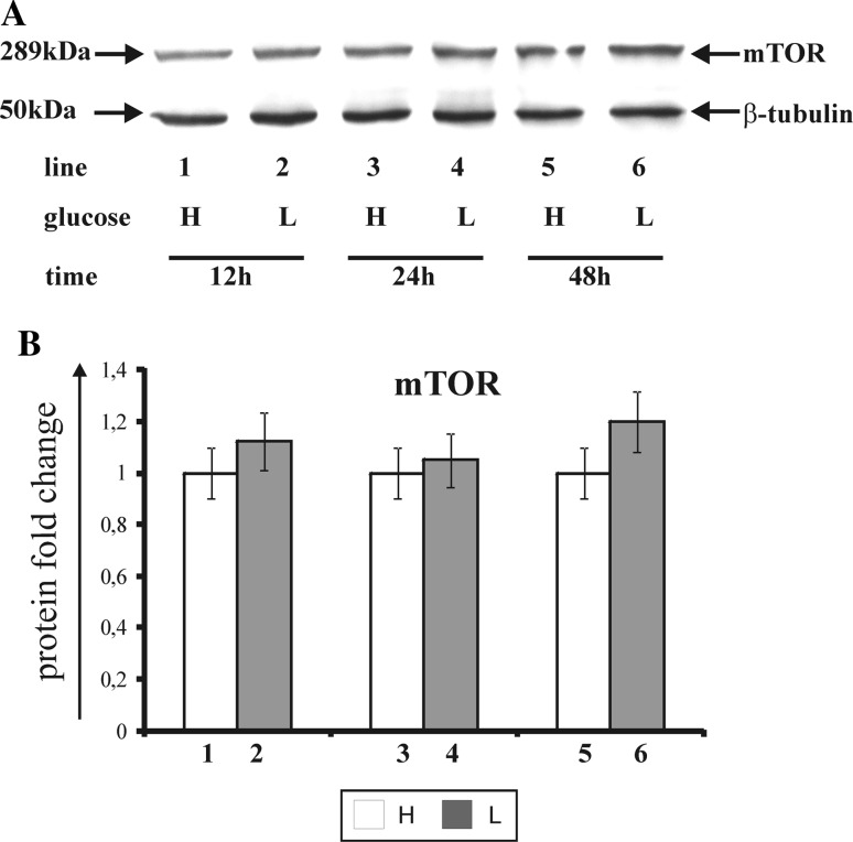 Fig. 8