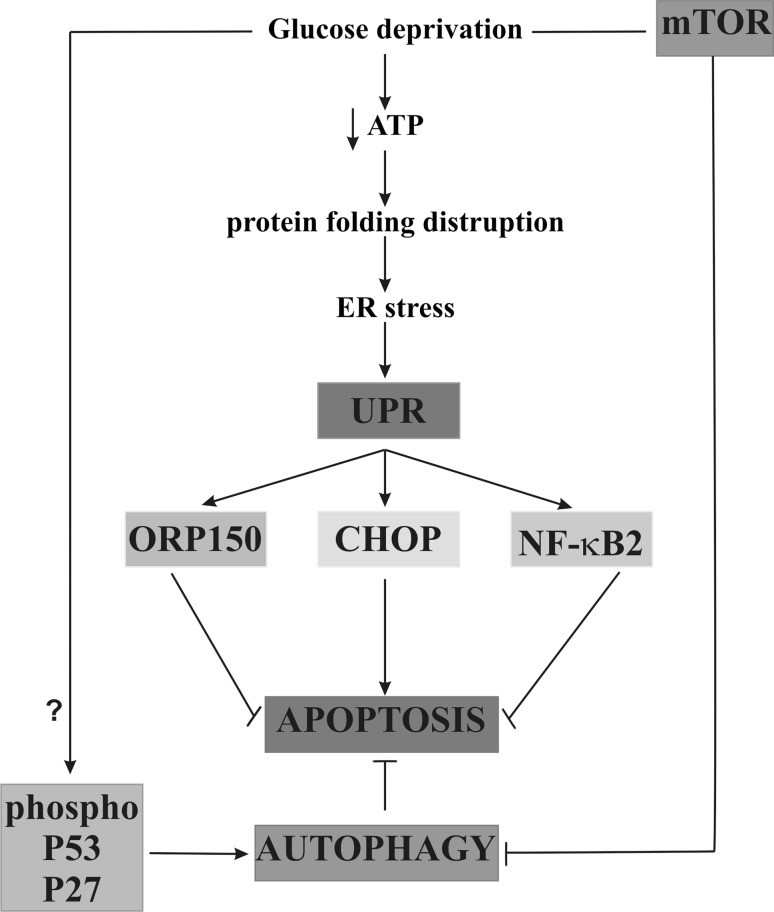 Fig. 9