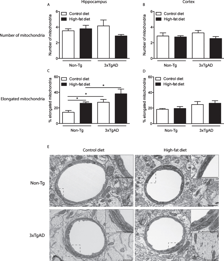 Fig.2