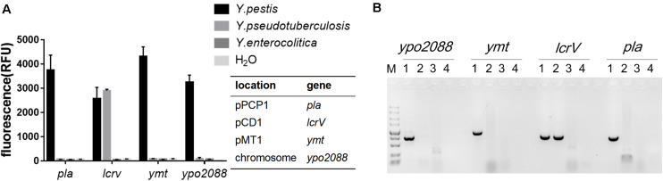 FIGURE 3