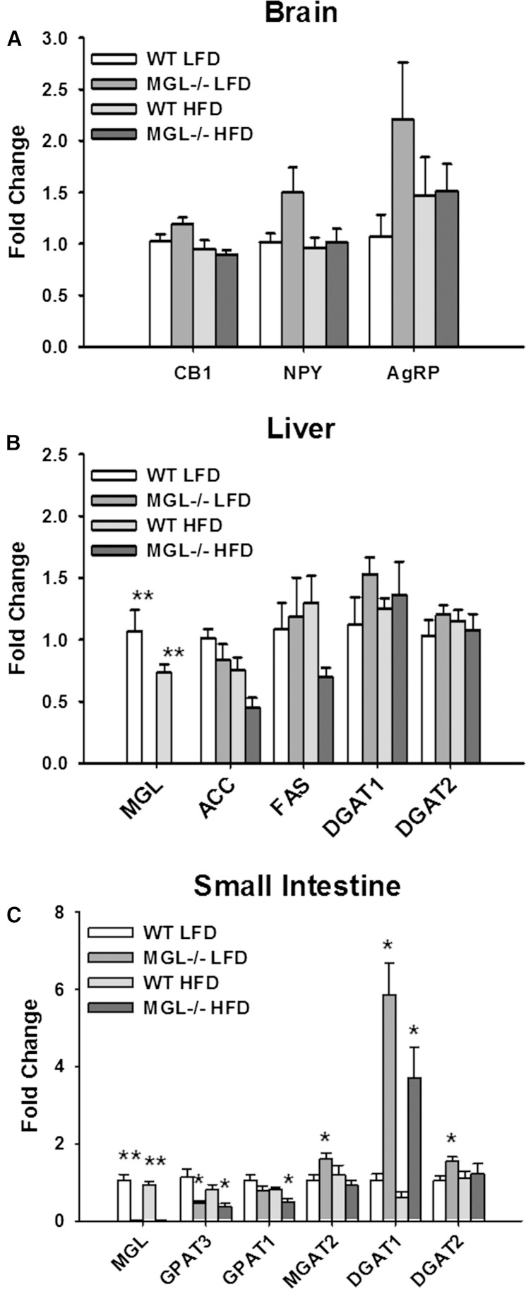 Fig. 11.