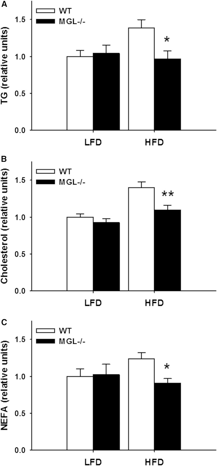 Fig. 10.