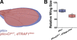 Figure 5—figure supplement 2.