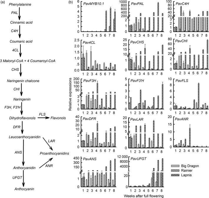 Figure 4