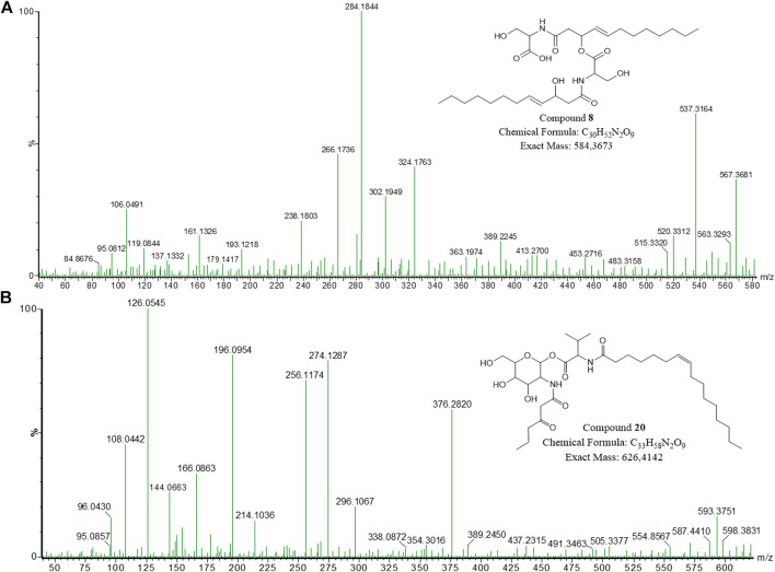 FIGURE 4