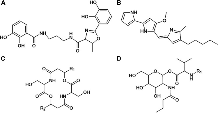 FIGURE 1