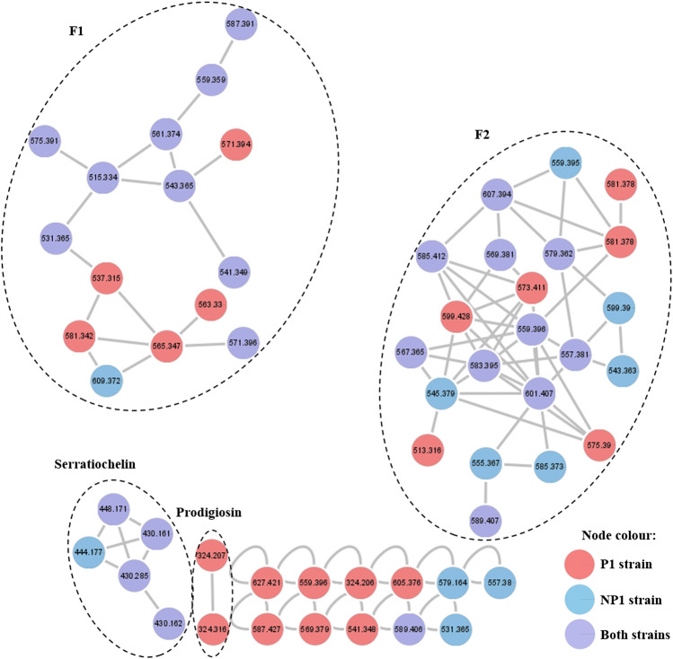 FIGURE 2