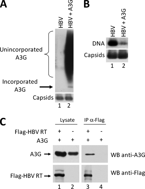 FIG. 5.