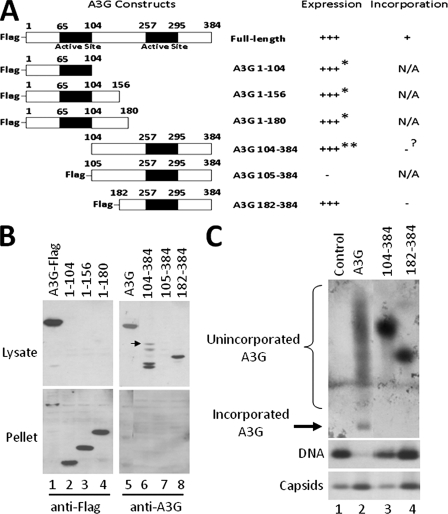 FIG. 7.