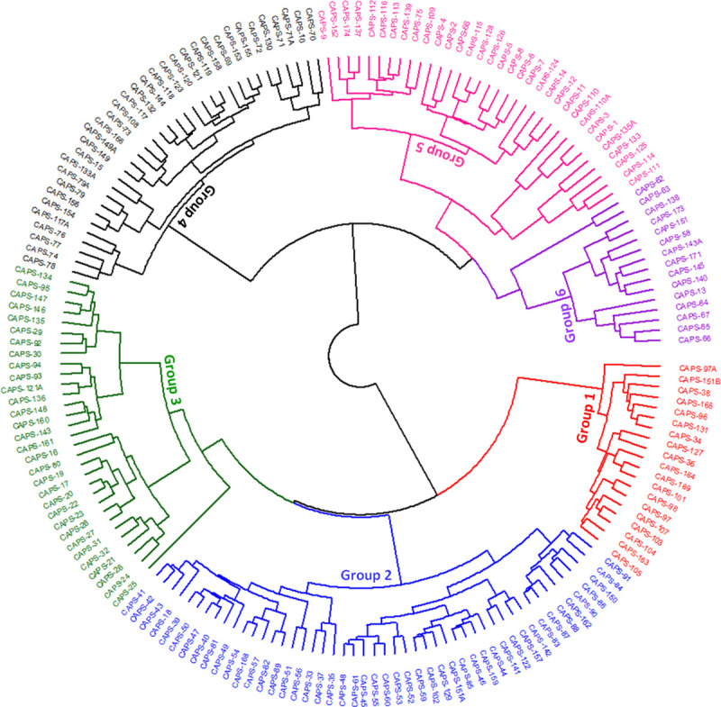 Fig 5