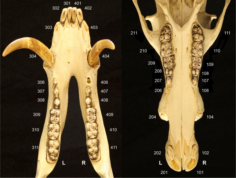 Figure 2.