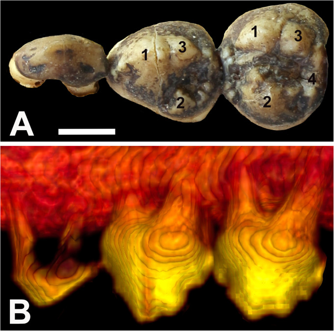 Figure 3.