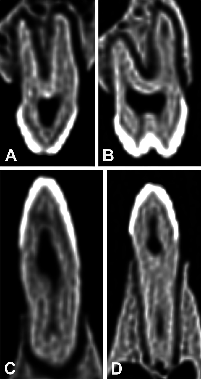 Figure 11.