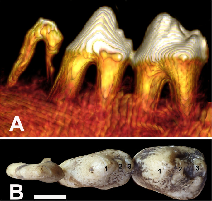 Figure 4.
