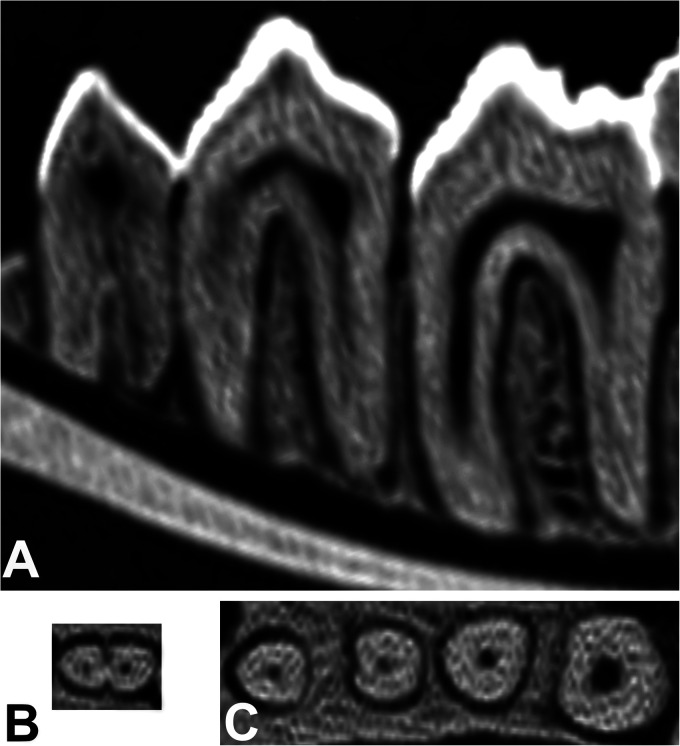 Figure 10.
