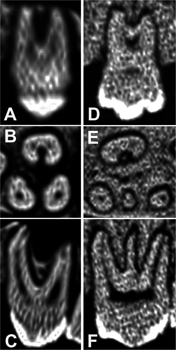 Figure 9.
