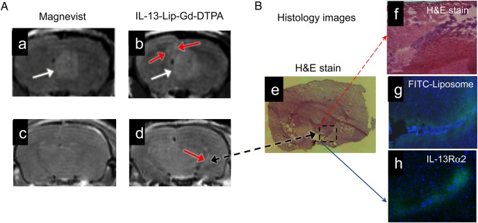 Fig. 6.