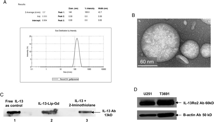 Fig. 1.