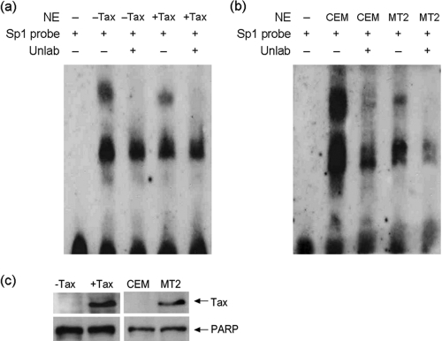 FIG. 5.