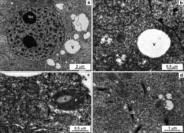 Fig. 6