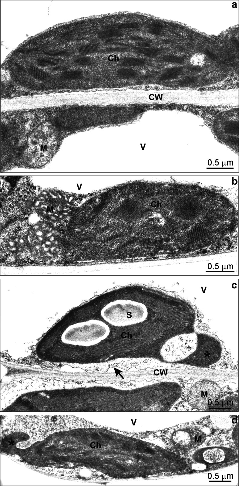 Fig. 9