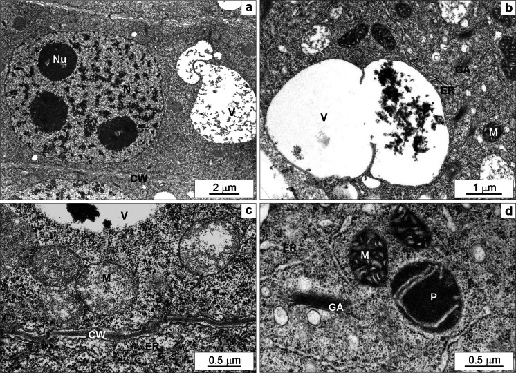 Fig. 7