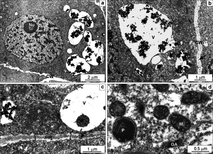 Fig. 8