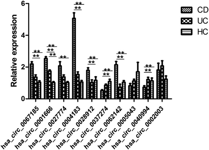 FIGURE 2