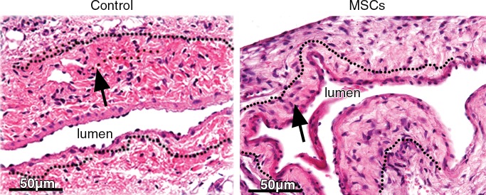 Figure 3: