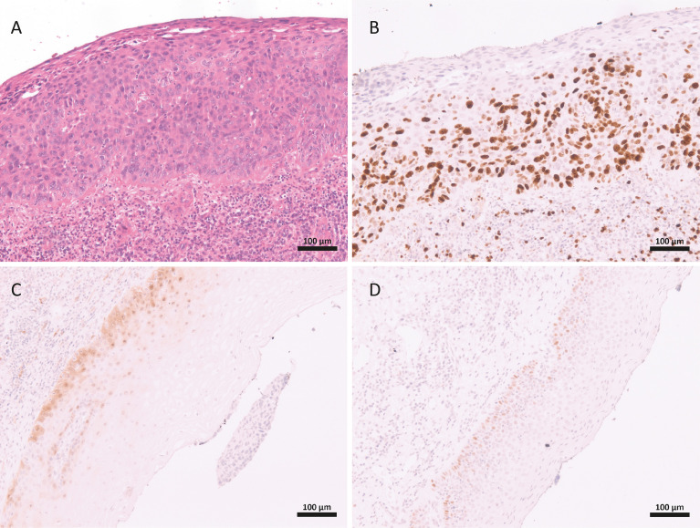 Figure 2