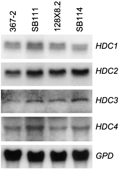 FIG. 5.