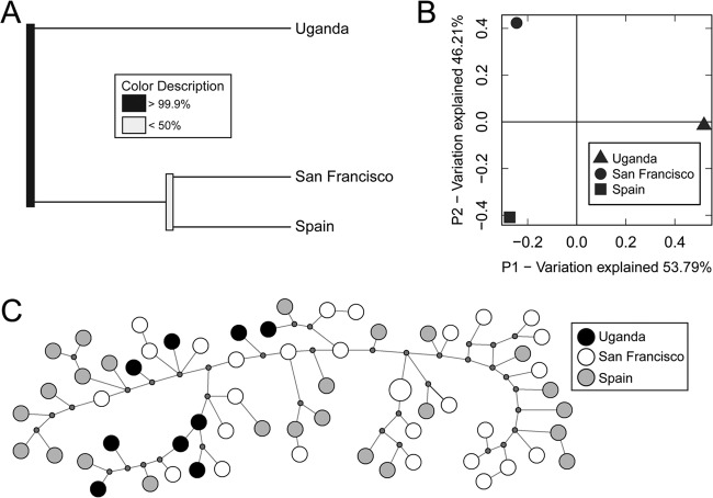 FIG 2