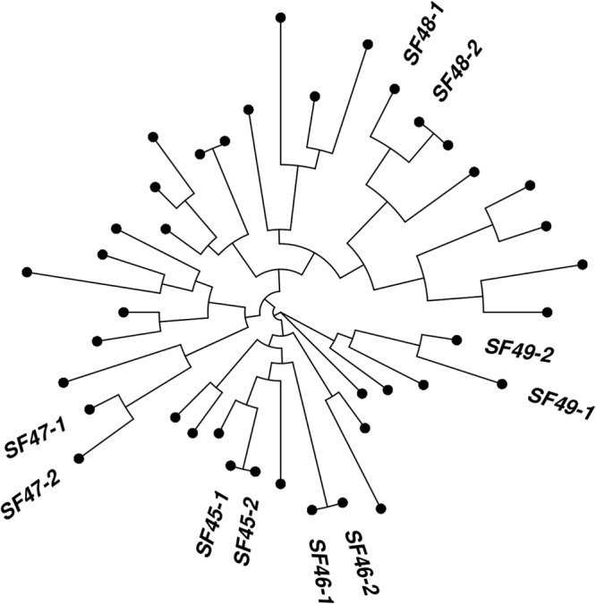 FIG 3