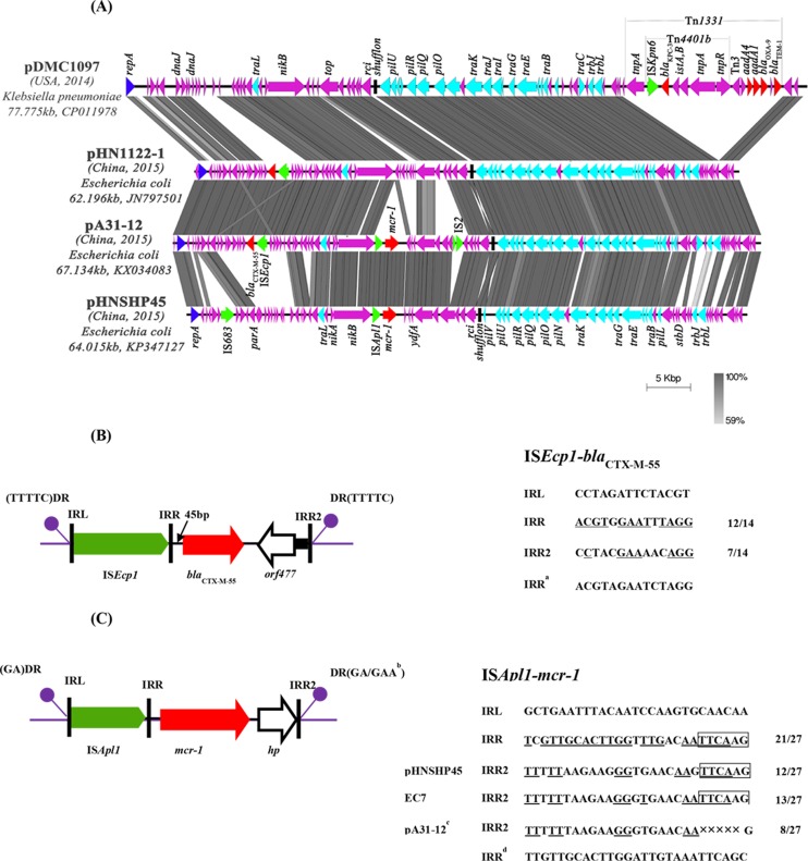 FIG 1