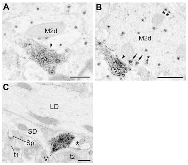 Fig. 10