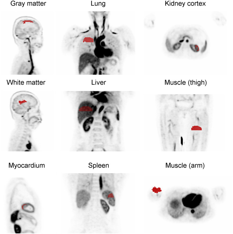 FIGURE 1.