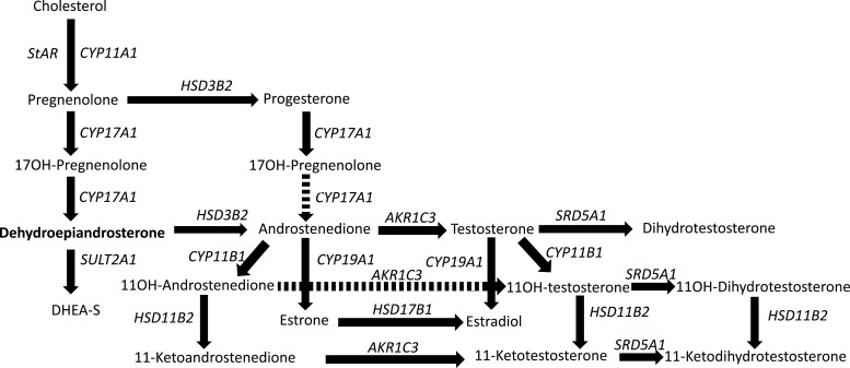 Figure 1.