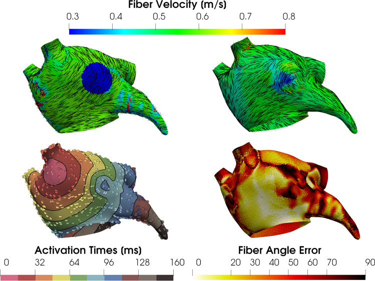 Fig. 7