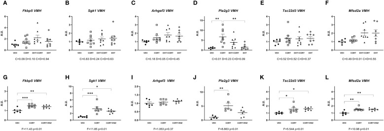 Figure 4