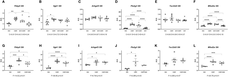 Figure 6