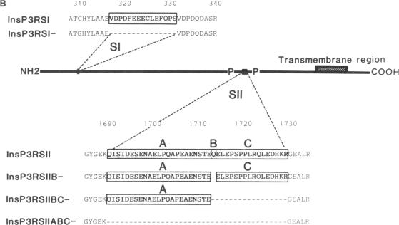 graphic file with name pnas01064-0316-a.jpg