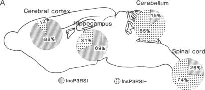 graphic file with name pnas01064-0318-a.jpg