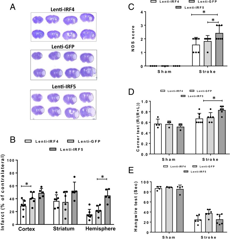 Fig. 8.