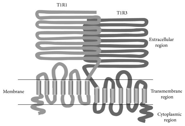 Figure 8