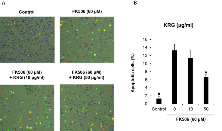 Fig. 4