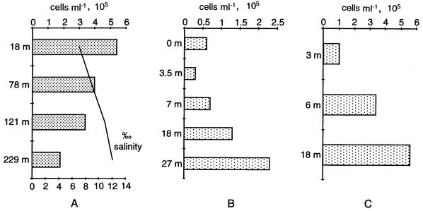 FIG. 1