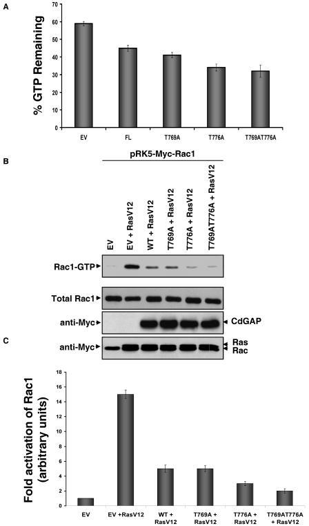 FIG. 9.