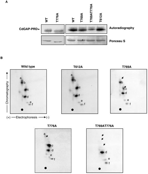 FIG. 7.